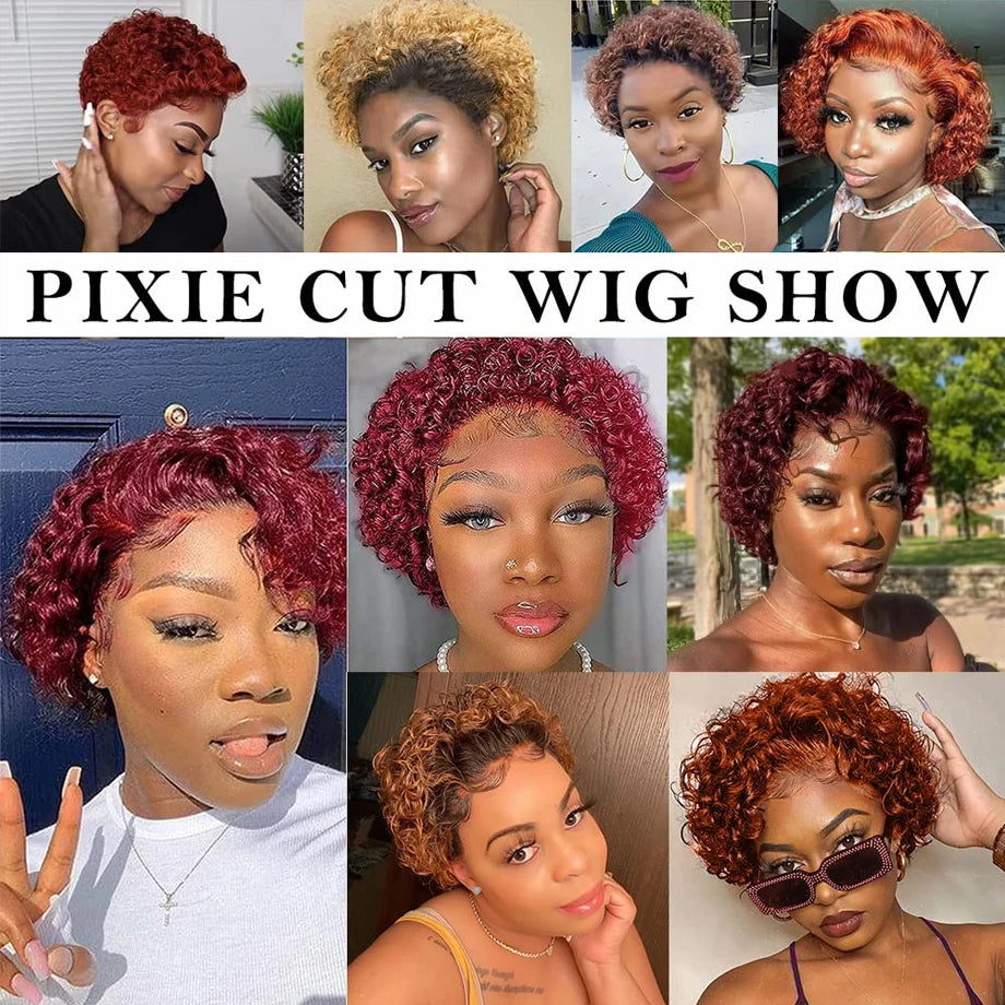 Short Curly Human Hair Pixie Cut Preplucked Transparent Lace Wig