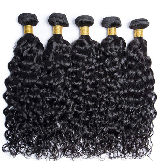 Peruvian 10A Remy Water Wave Unprocessed Curly Human Hair Extensions No Tangle 12-32 Inch