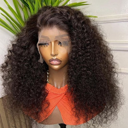 Transparent 13x4 13x6 HD Water Wave Lace Front Curly Pre Plucked Human Hair Wigs